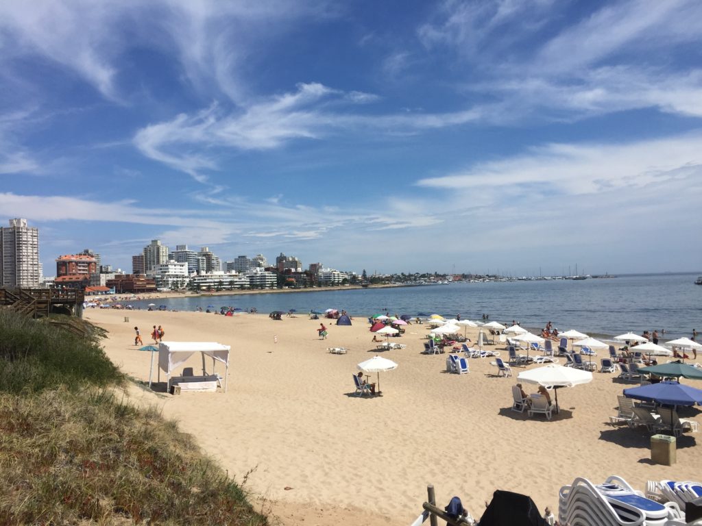 Beach Looking to Town Punta del Este