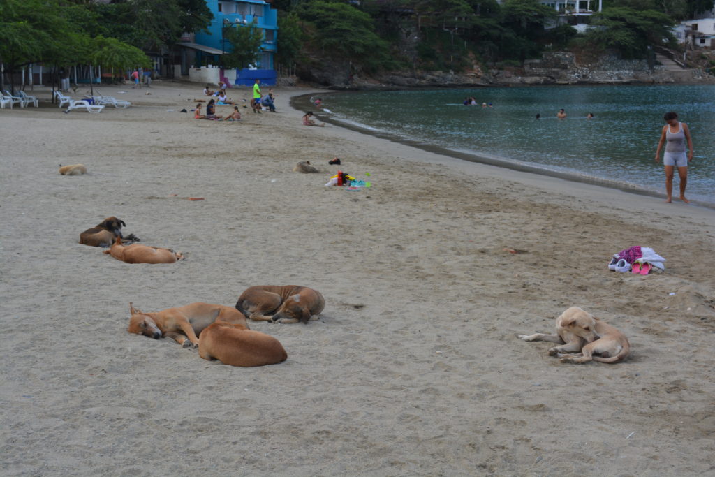 Taganga, Santa Marta, Colombia