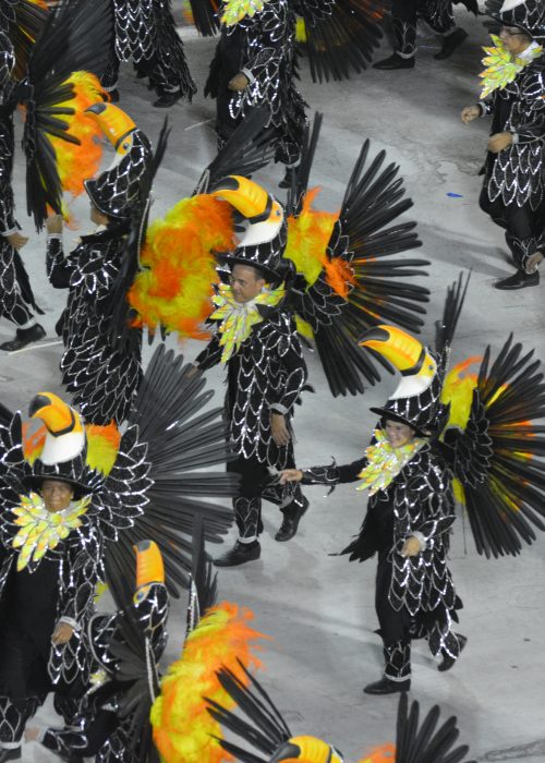 Imperatriz Leopoldinense School - Toucans, Rio de Janeiro Carnival, Brazil