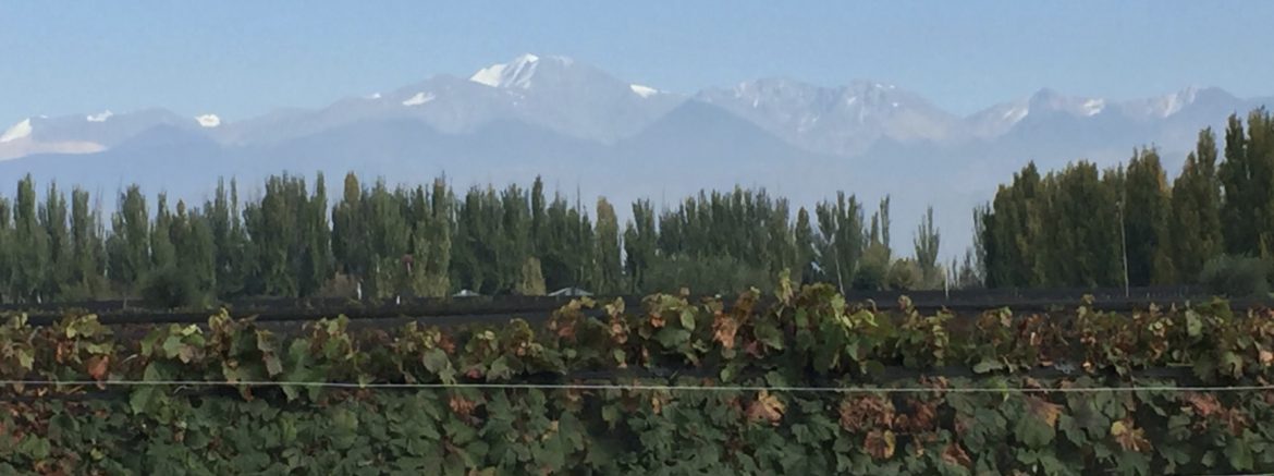 Wineries, Mendoza, Argentina
