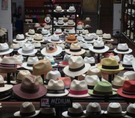 Panama Hats, Cuenca, Ecuador