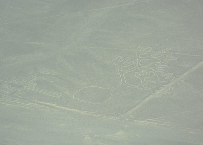 Hieroglphs, Nazca Lines, Peru