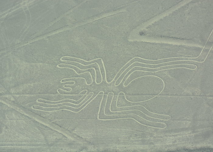 Spider, Nazca Lines, Peru