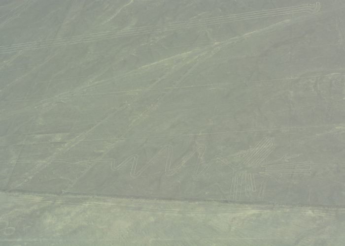 Frigate Bird, Nazca Lines, Peru