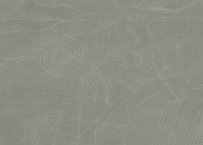 Monkey, Nazca Lines, Peru