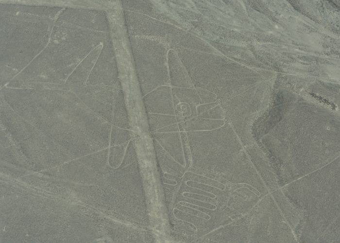 Whale, Nazca Lines, Peru