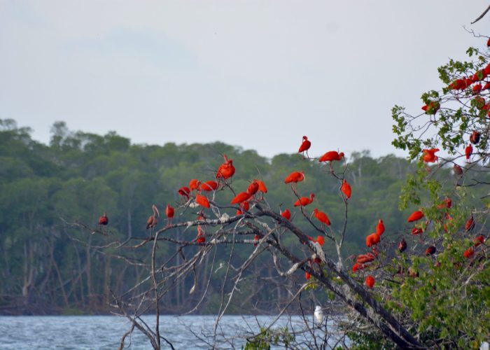 Parque Nacional dos Lençóis, Brazil