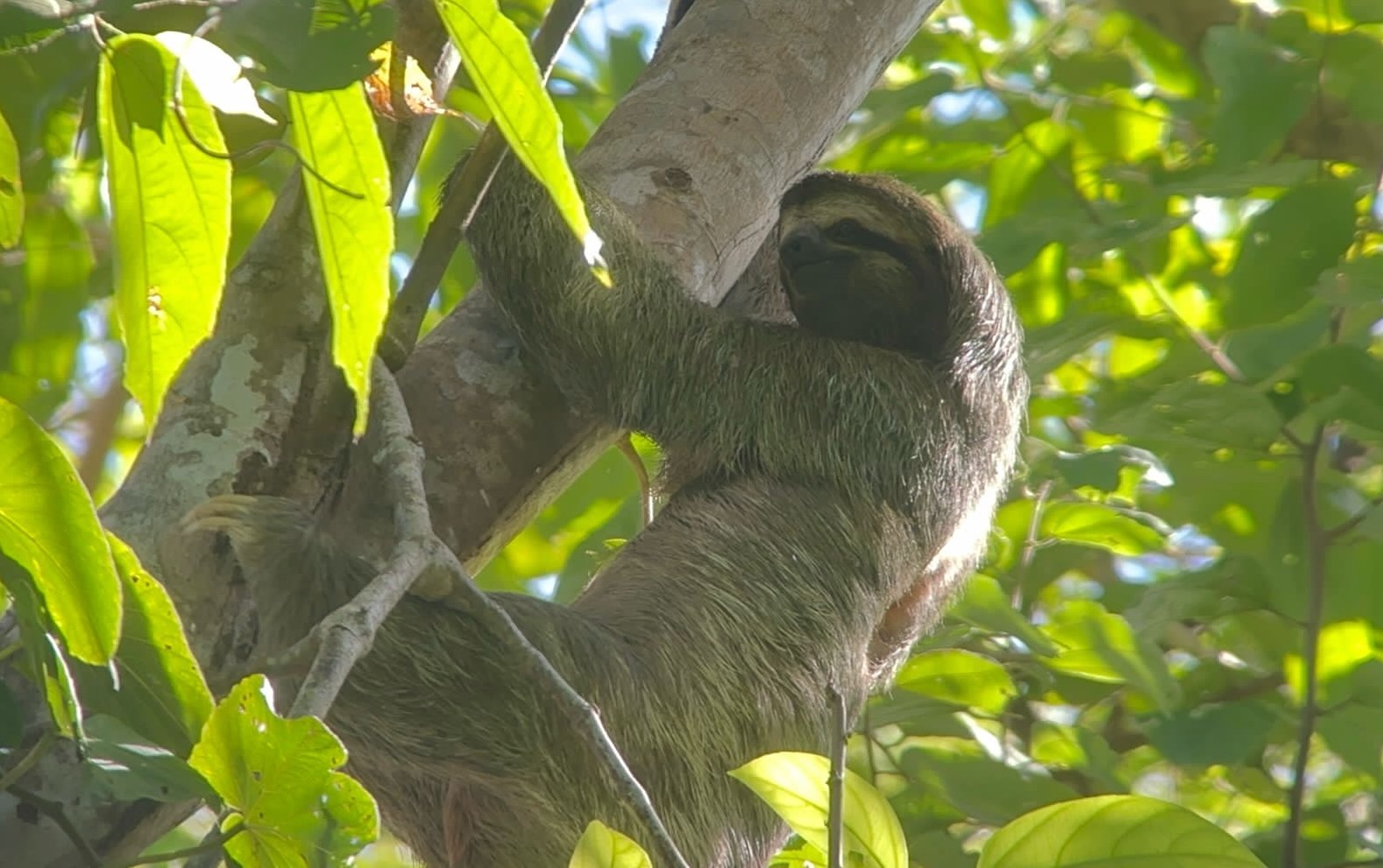 Costa Rica